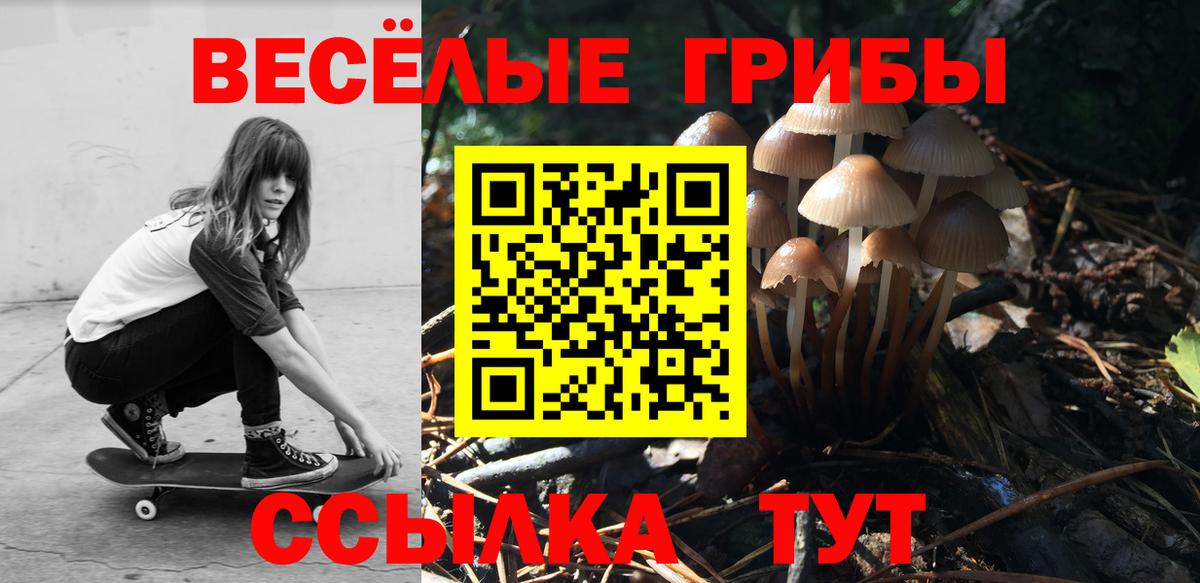 Псилоцибиновые грибы Psilocybine cubensis Туймазы
