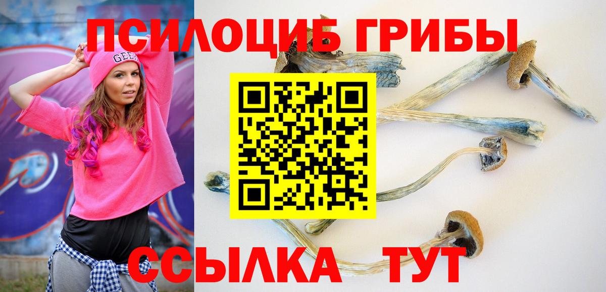 Псилоцибиновые грибы Cubensis  Вход с VPN  Туймазы 
